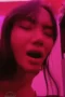 Sunflower 325236434575485694 Amoy Manis Disodok Batang Gede